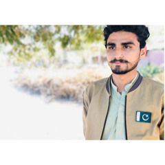 Hum Apna Nazriya Rakhtay Hain (Zulfi_Umrani)⚔️