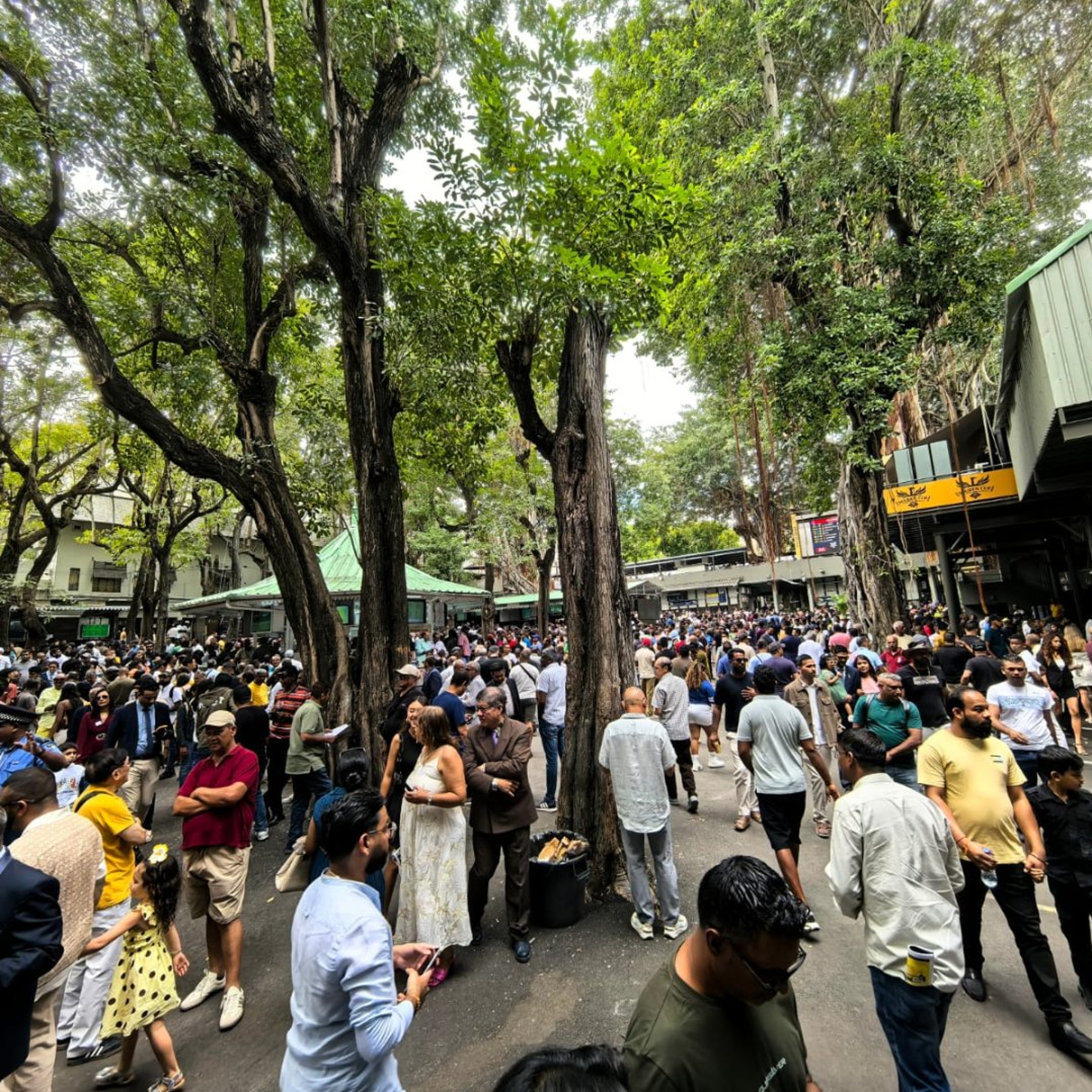 Maiden Cup : le Champ de Mars se prépare au grand spectacle, entre tradition, passion et grande foule