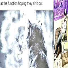 camedownn (resurrection)