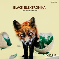 Black Elektronika - Gottuchia 1 (Original Mix)