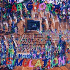 Simulation