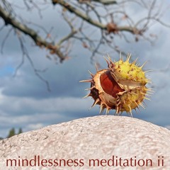 Mindlessness Meditation 2