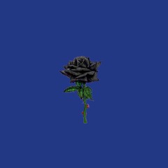 [FREE]  "Last Rose" Sad Dark Melodic Type Beat