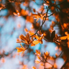 Theophilus Praise Singers - Rai Vei Jisu (Fijian Gospel) [DJ GABBY REMIX]