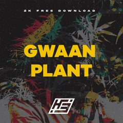 H3 - Gwaan Plant (2K FREE DOWNLOAD)