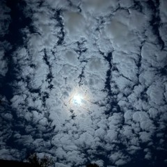 trip inside my mind (Prod. wavology1536)