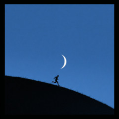 NIGHT RUNS