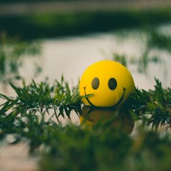 Learn to Change Your Mindset