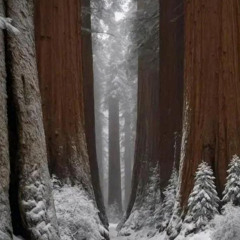 Interconnectedness