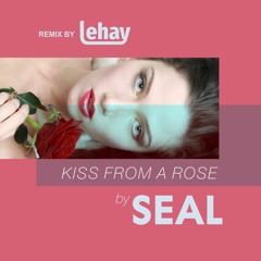 Seal - Kiss From A Rose (2022 House Remix by Lehay)