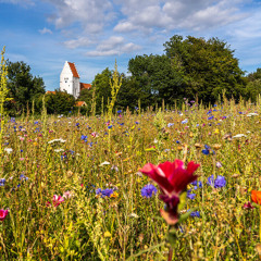 taylor swift - style (slower ballad piano)