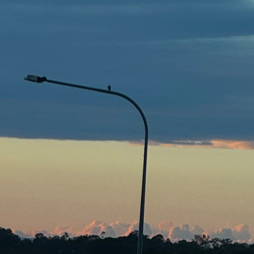 Invisible City