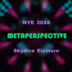Metaperspective - NYE Skydive Elsinore 2024