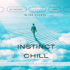 Dj J Instinct - In The Silence Feat. Sarah Grey