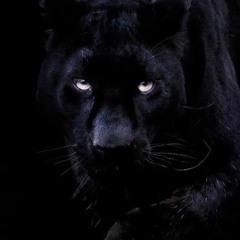 Fairy tales Anita Baker Mix