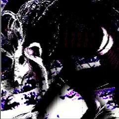 SUTURE CHASE - SONIC.EXE: OUTCOME MEMORIES