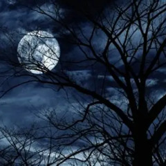 Moonlight Killer