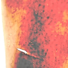 SPLINTER.