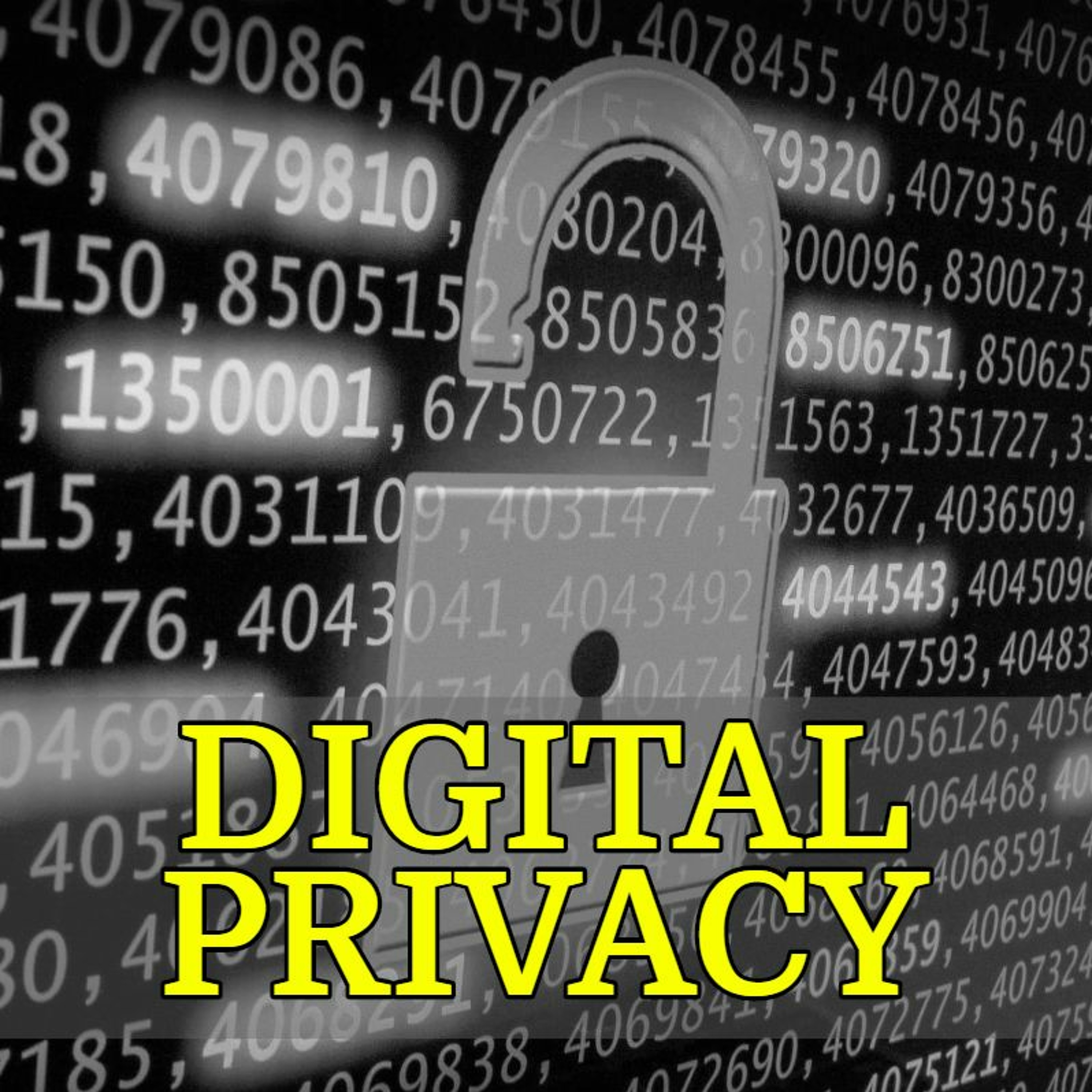 060 - Digital Privacy