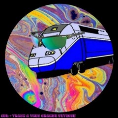 Train À Très Grande Vitesse