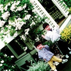 winding back the memories