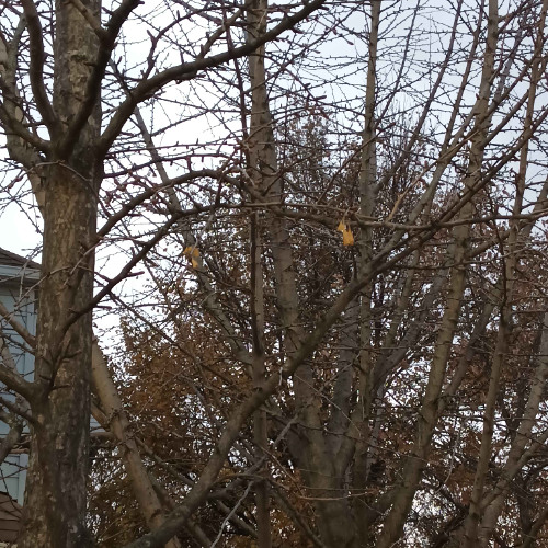 and the loop begins again