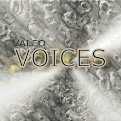 Valeo - VOICES