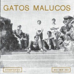 Sem ver o luar (Gatos Malucos)