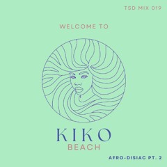 TSD 019 (afro-disiac pt. 2)