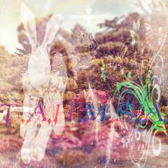 T.A.H.M.S.A.