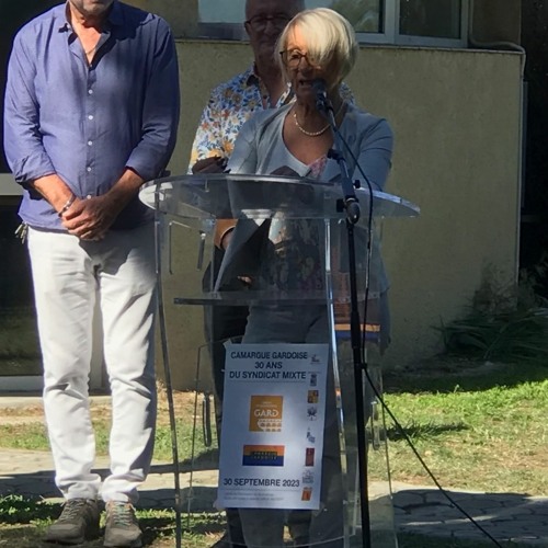 Stream ITW F.LaurentPerrigot, Pdte Conseil Départemental Du Gard 30