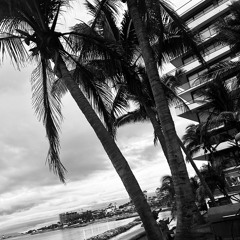 Noise session - Luna León