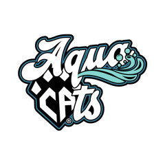 Cheer Athletics Pensacola Aqua Cats 23-24