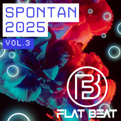 Dj Flat Beat - Spontan 2025 Vol.3