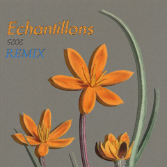 Vision + Dur-Dur Band – Gorof (Elixir) (ft. Plasmidia)