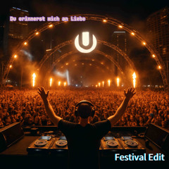 Du erinnerst mich an liebe (Festival Edit)