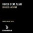 Brooks & KSHMR - Voices Feat. TZAR (Versus WS Remix)