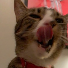 little arrow (big thief cover)