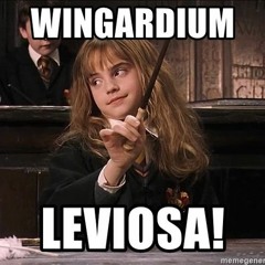 Hell Division - Wingardium Leviosa