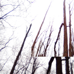 two different worlds