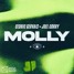 Cedric Gervais x Joel Corry - MOLLY (Ray Bard Remix)