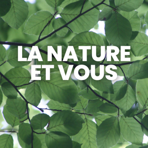 I-MAT-La nature et vous-003- Les mauvais herbes-12min54