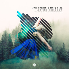 Jan Martin & Mate Rial - Letting You Down (Roald Velden Remix) [Minded Music]