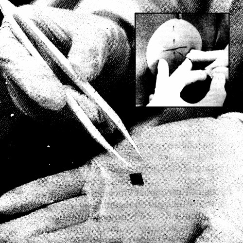 3. Bungalovv - I Hate Your Shadow