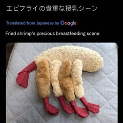 🍤&🍤