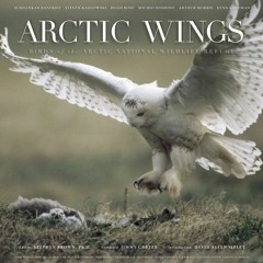 VIEW KINDLE PDF EBOOK EPUB Arctic Wings: Birds of the Arctic National Wildlife Refuge