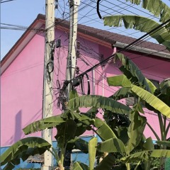 Faux Pas Nike (Free DL)