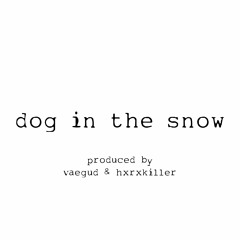 dog in the snow *p. vaegud & hxrxkiller*
