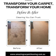 Transform Your Carpet, Transform Your Home—Before and After Cleaning You Can Trust