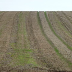 Crazy Quilt Bouquet - Ramble